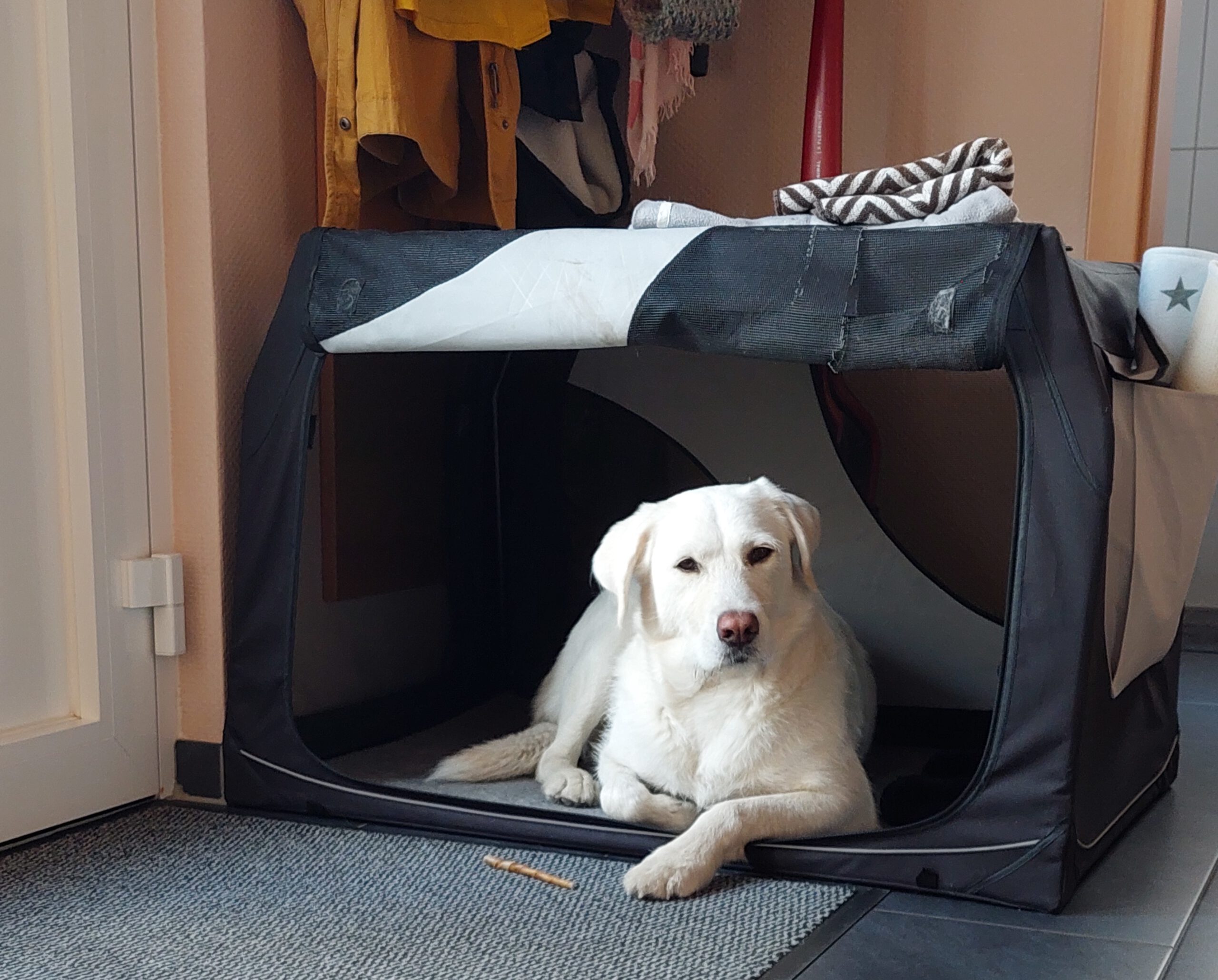 Mehr über den Artikel erfahren Die Reise beginnt …