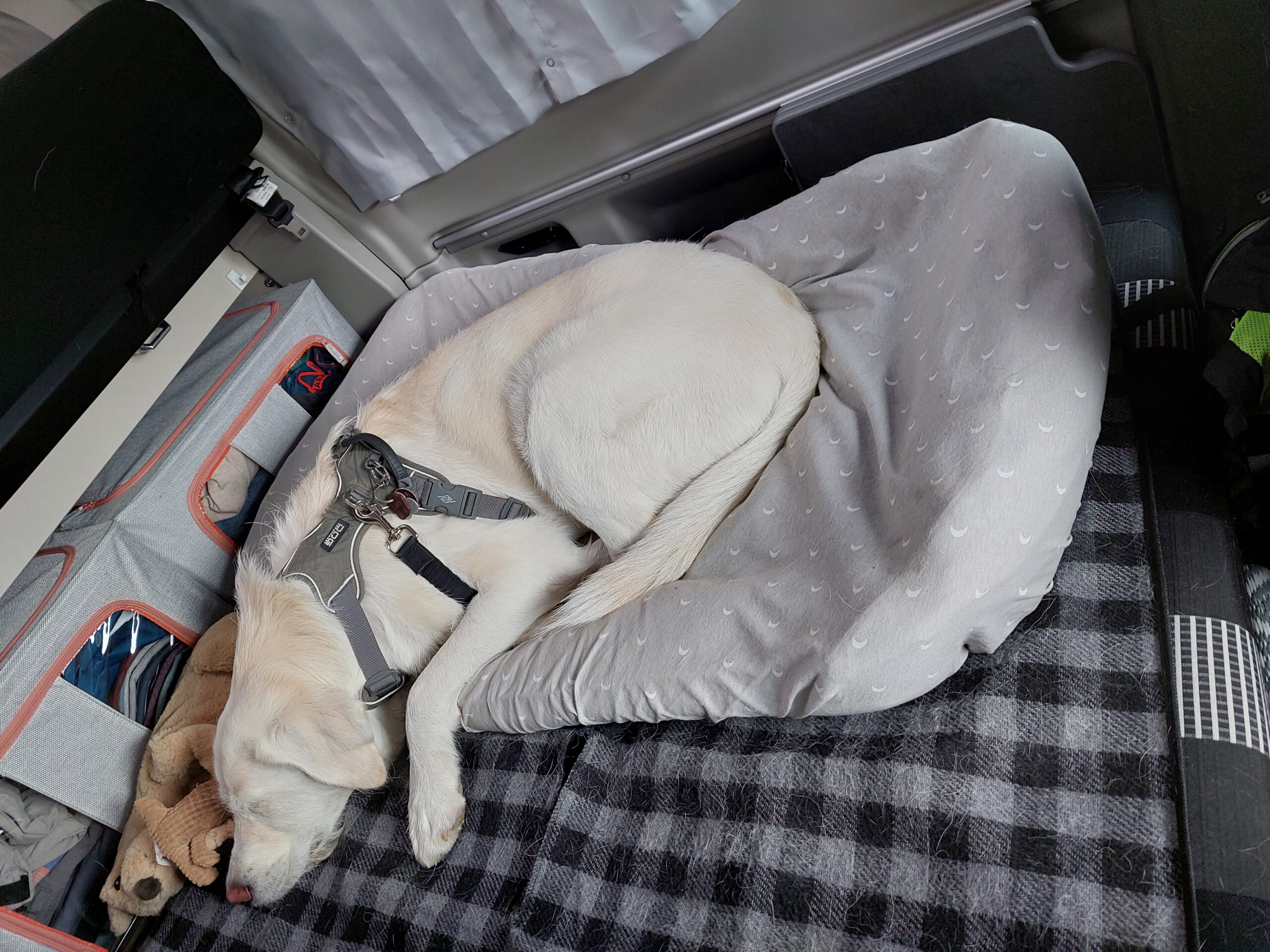 Mehr über den Artikel erfahren Roadtrip – Teil 2