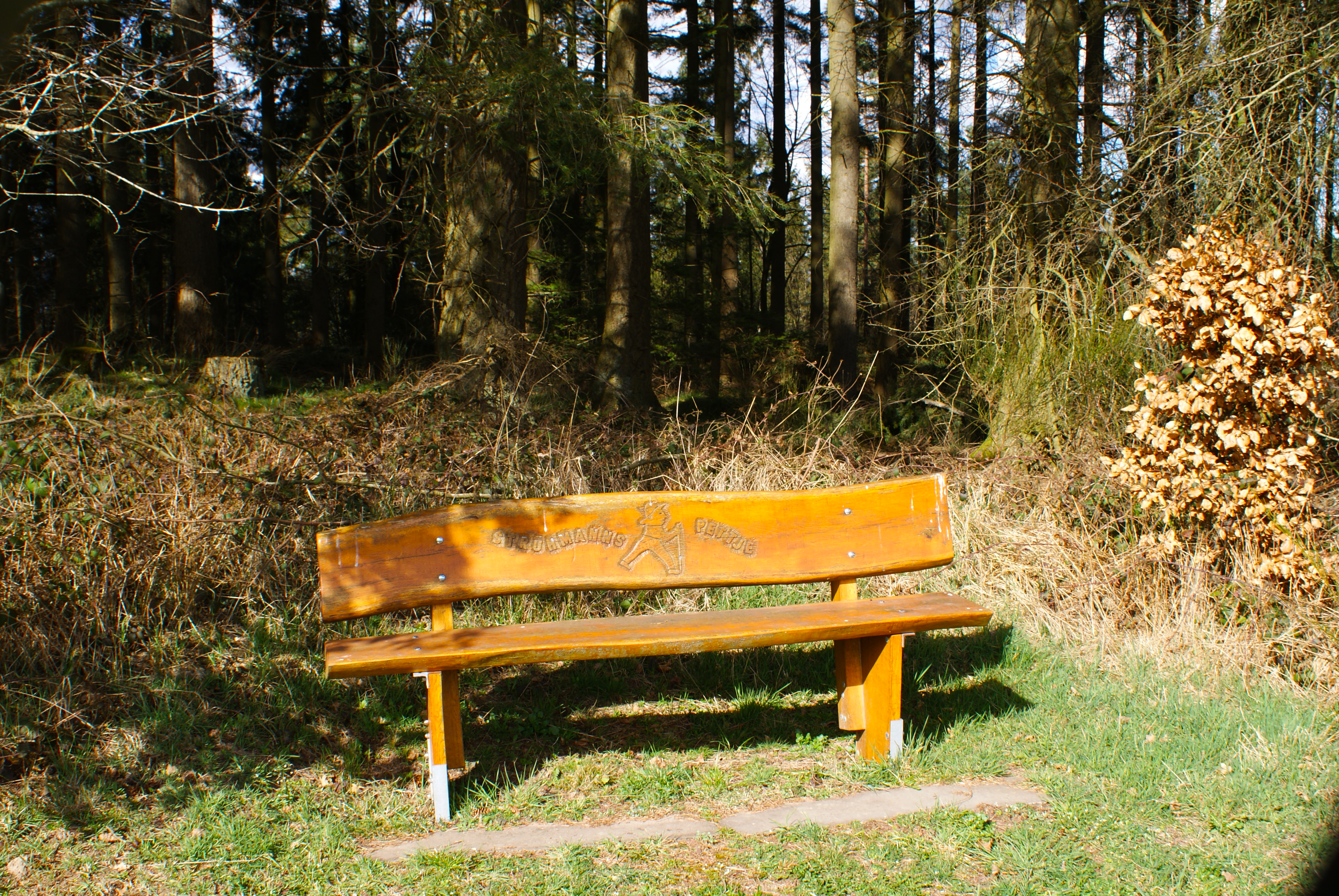 Mehr über den Artikel erfahren Die Rückkehr nach Nachtsheim