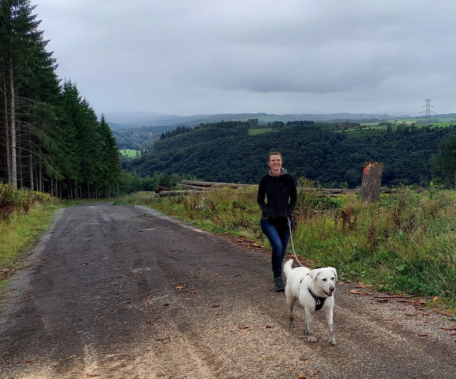 Mehr über den Artikel erfahren Kein Bock